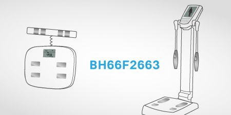 BH66F2663