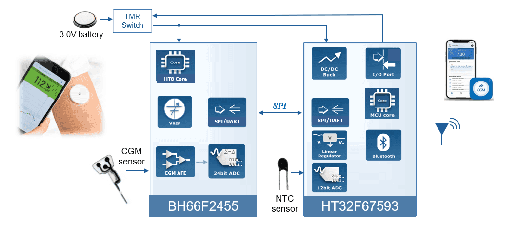 Continuous Glucose Monitor Application Block Diagram